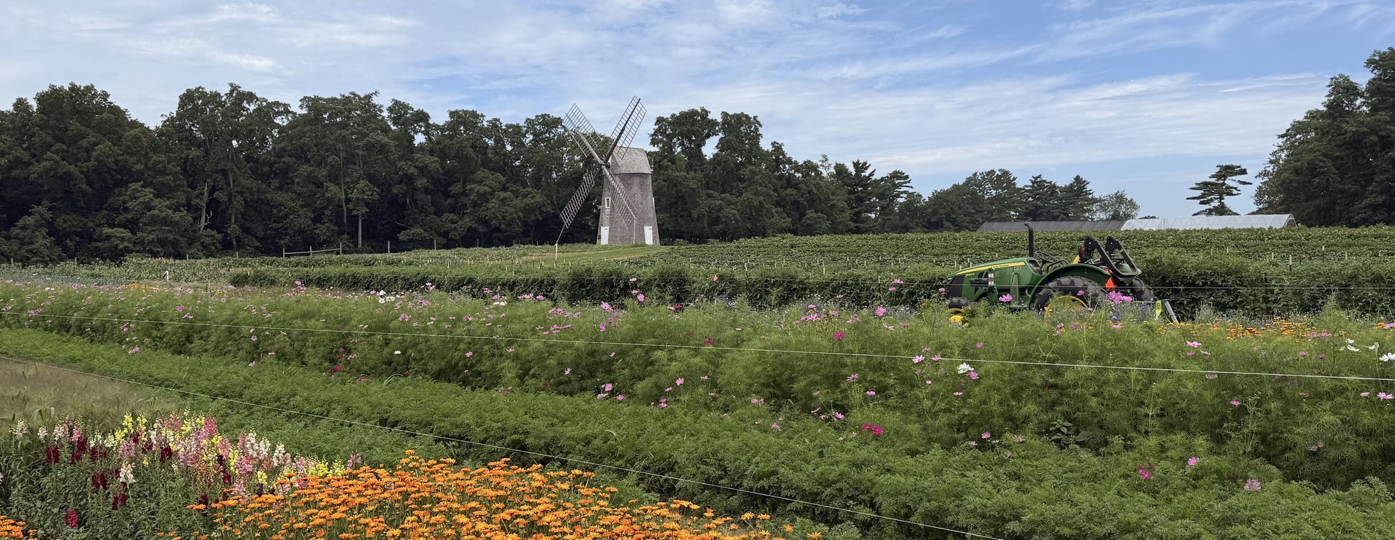 Growing Together: Cocktails to Benefit the Farm